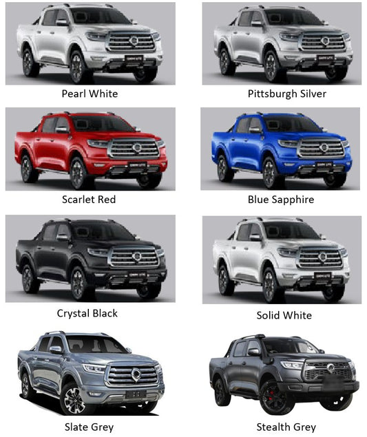 GWM Cannon / TANK / Ora Touch Up Pen