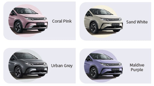 BYD Dolphin / Atto3 / Seal / Sealion 6 / Sealion 7 Touch Up Pen