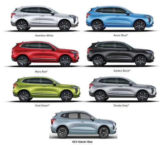 Haval H6 / H6GT / Jolion / H7 Touch Up Pen