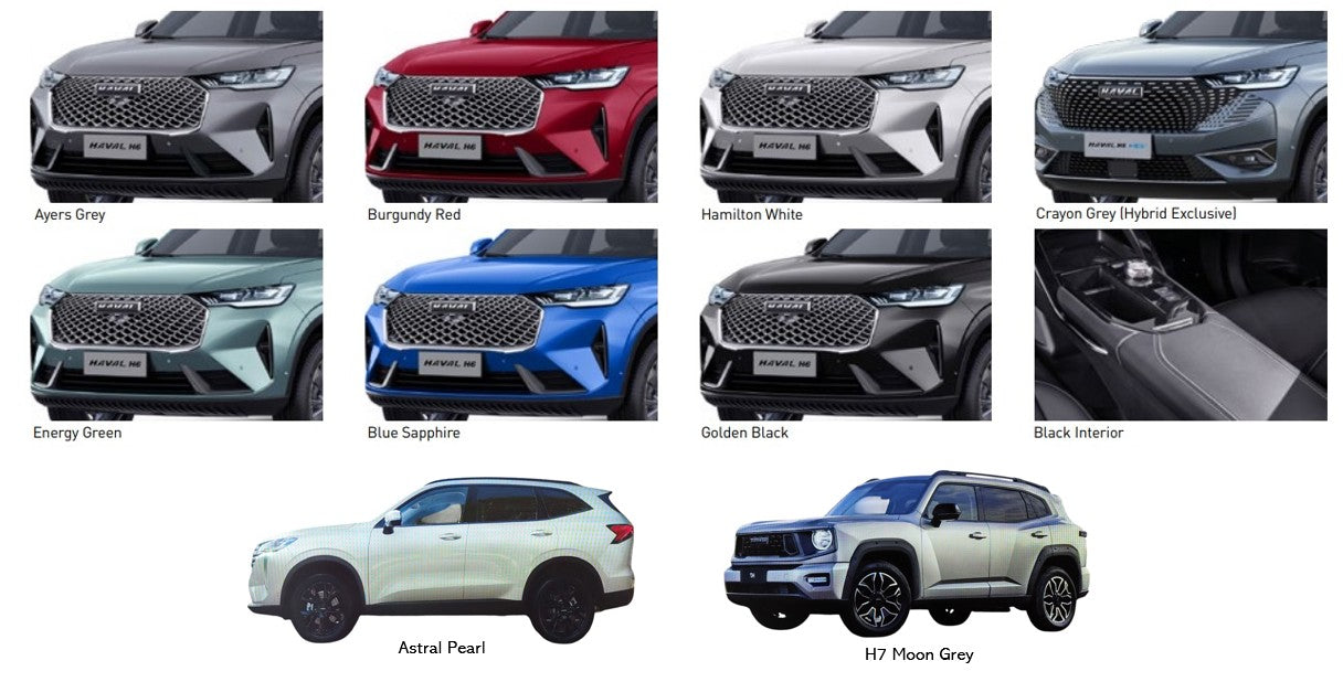 Haval H6 / H6GT / Jolion / H7 Touch Up Pen