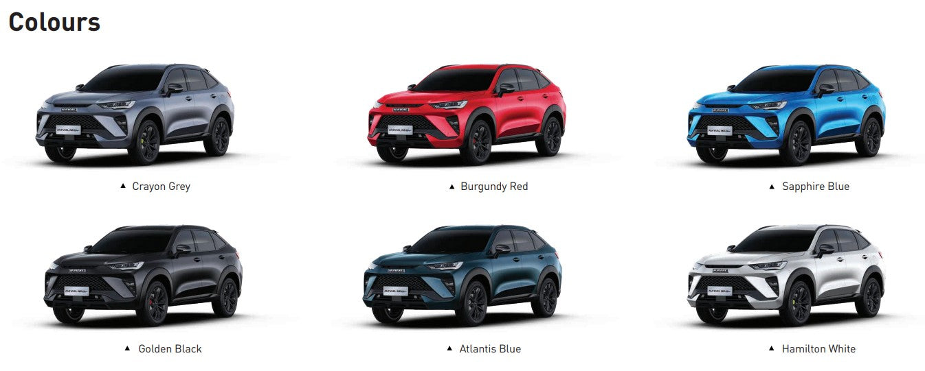 Haval H6 / H6GT / Jolion / H7 Touch Up Pen
